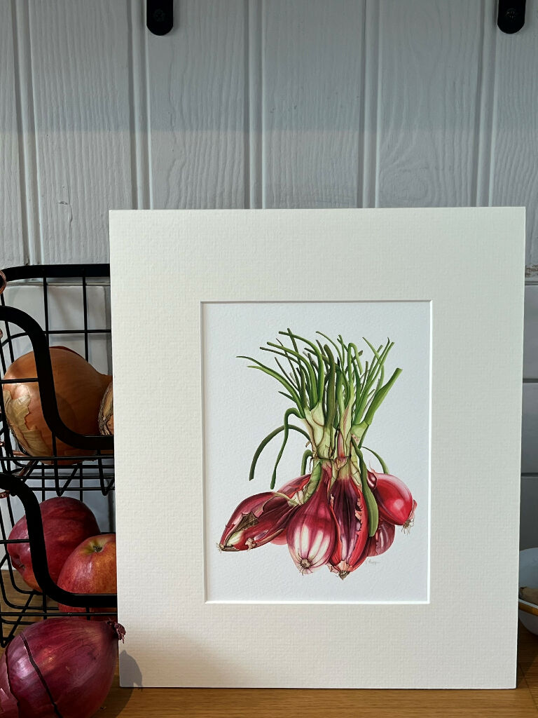 Red Onions Print