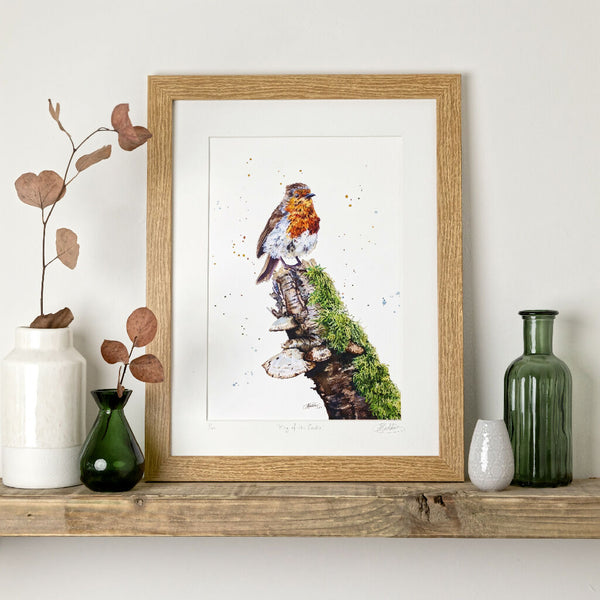 Robin Limited Edition Print 'King of the Castle' | Jina Gelder Illustration