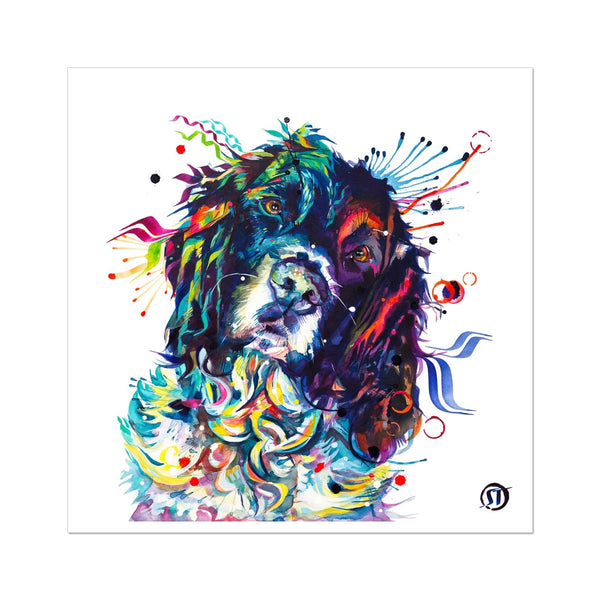 Thorin the Springer Spaniel Fine Art Print