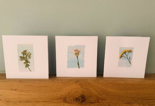 Set of 3 handmade real pressed flower cards