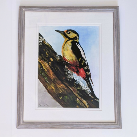 Mr Yaffle Painting by Susie Lidstone