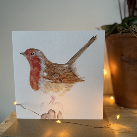 Robin Christmas Card