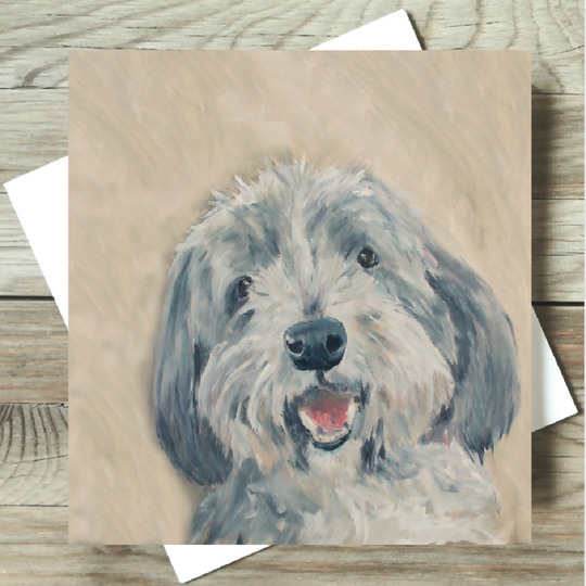 Bearded Collie Blank Card