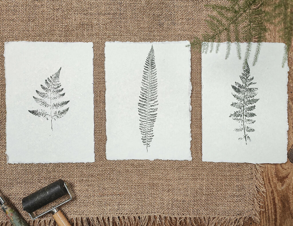 Set of 3 Original Fern Leaf Prints