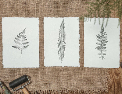 Set of 3 Original Fern Leaf Prints