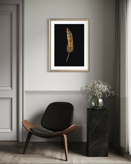 "The Beauty of a Pheasant Feather" - Country Collection