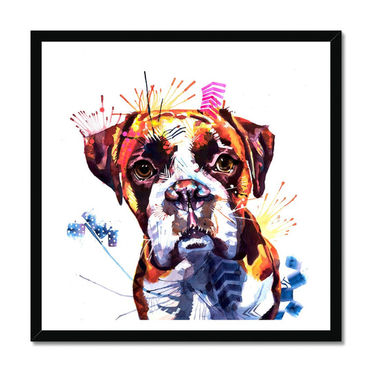 Loki the Boxer Framed Print
