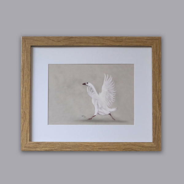 In a Flap - Framed Giclée Print