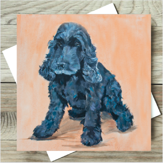 Black Spaniel Card