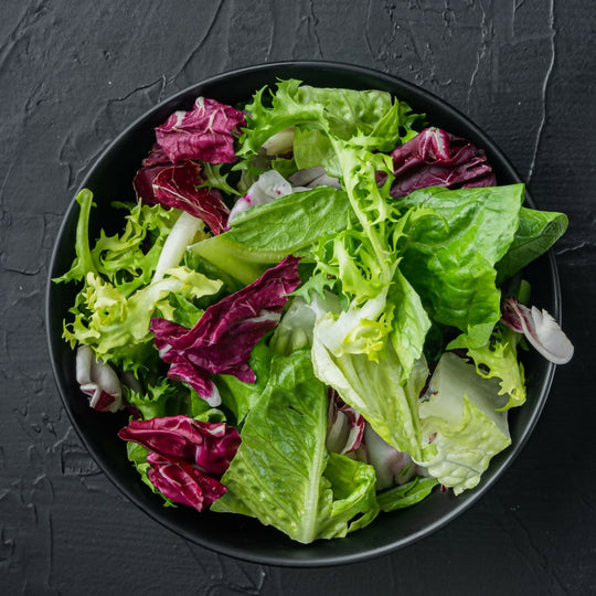 Lettuce Plants, 'Mixed Selection', 12 x Full Plant Pack