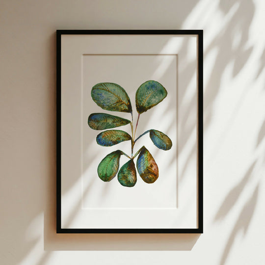 Plant Ink & Watercolour Giclée Fine Art Print