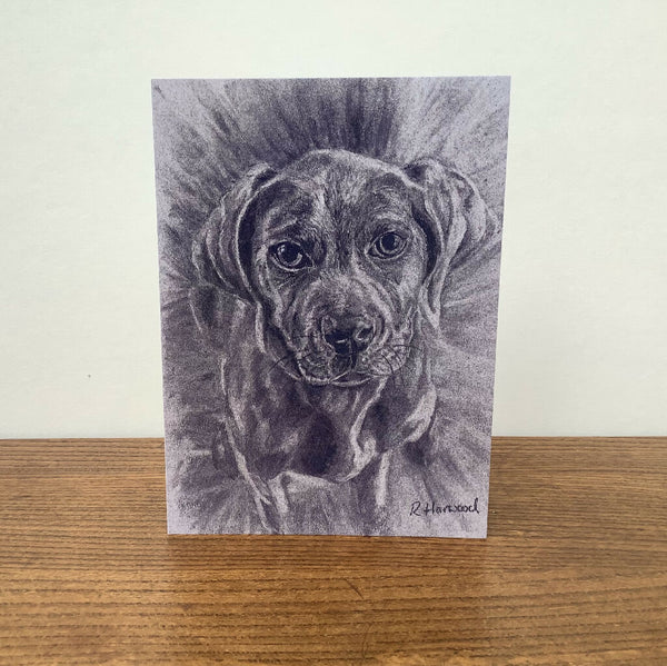 Good Lad Greeting Card