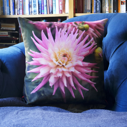 Pink Dahlia Cushion