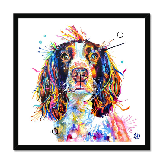 Ivy the Sprocker Spaniel Framed Print