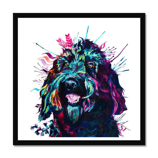 Alfie the Cockapoo Framed Print