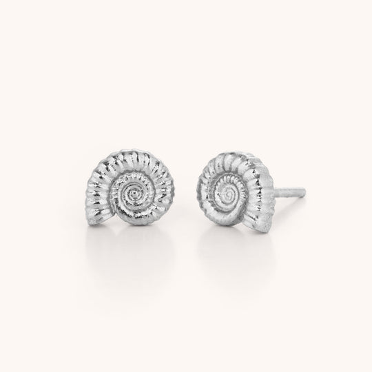 Ammonite Earrings