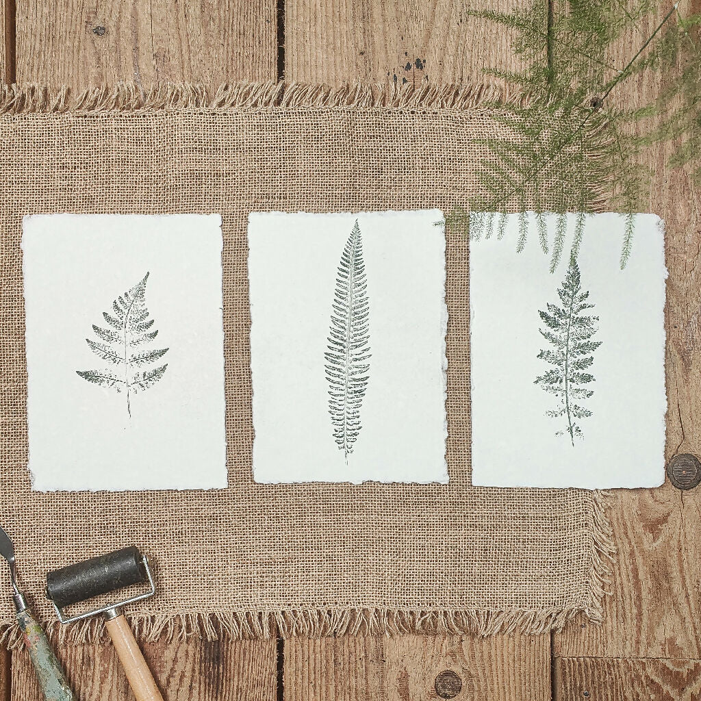 Set of 3 Original Fern Leaf Prints