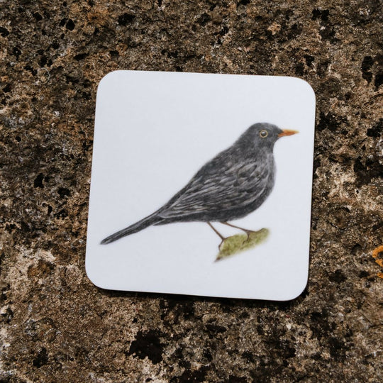 Set of 4 Blackbird Coasters