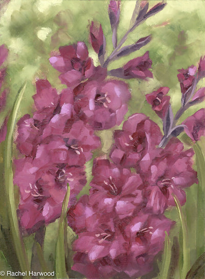 Gladioli Fine Art Pint