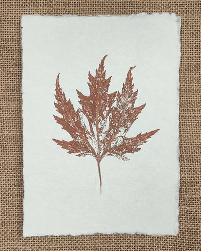 Set of 3 Maple and Oak Original Leaf Prints