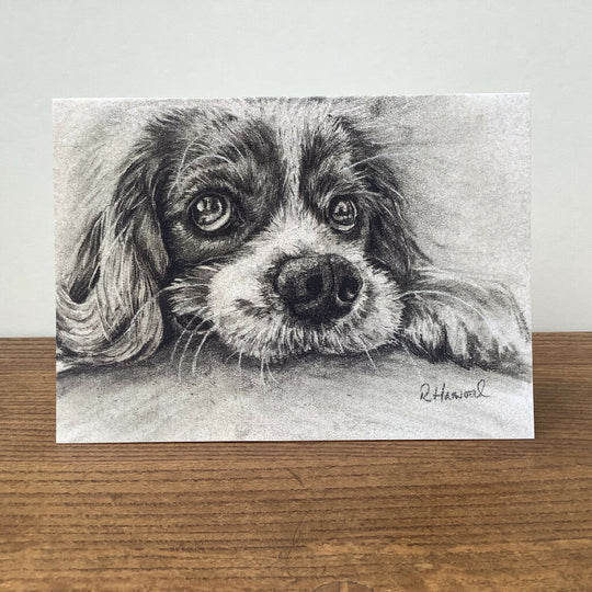 Is it still raining Greeting Card