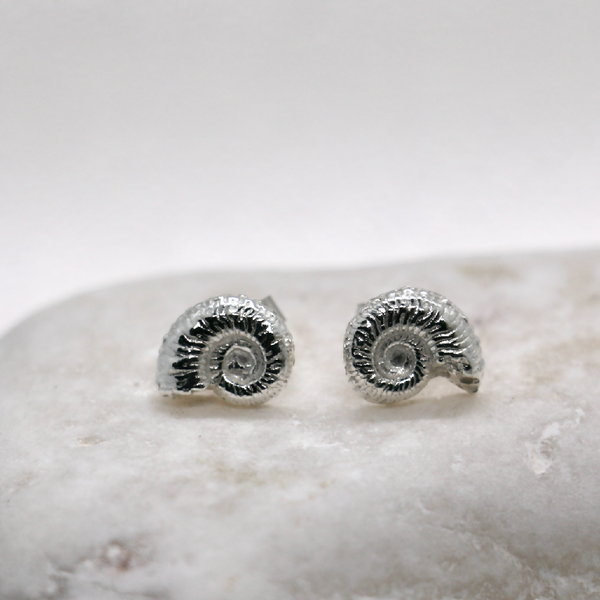 Silver Ammonite Stud Earrings