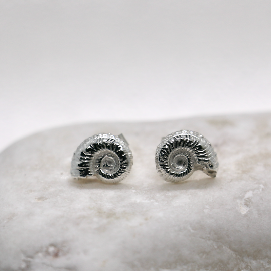 Silver Ammonite Stud Earrings