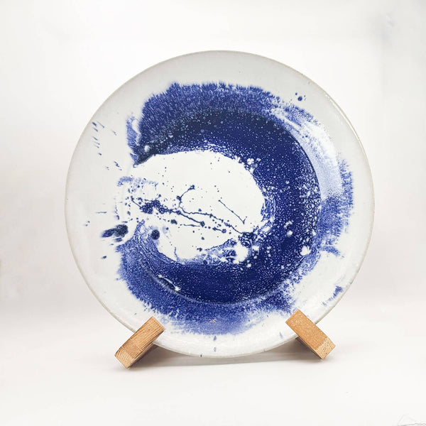 Blue tide display plate front