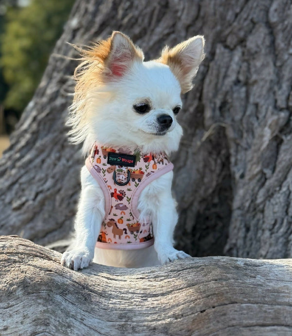 Whimsical Farm No Pull Dog Harness