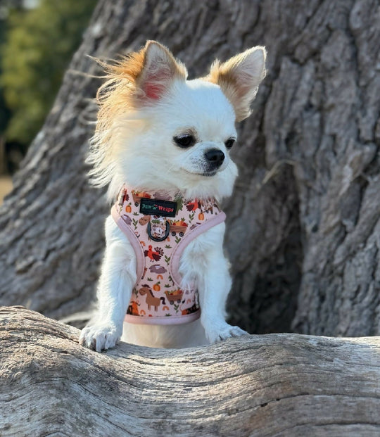 Whimsical Farm No Pull Dog Harness