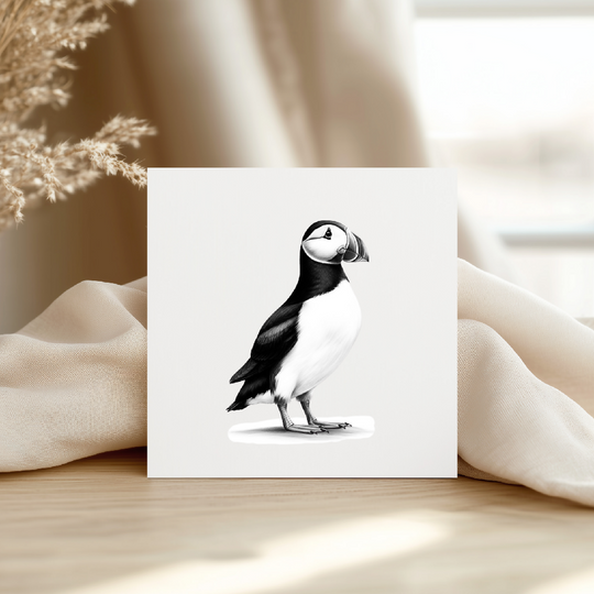 Single Puffin Greeting Card