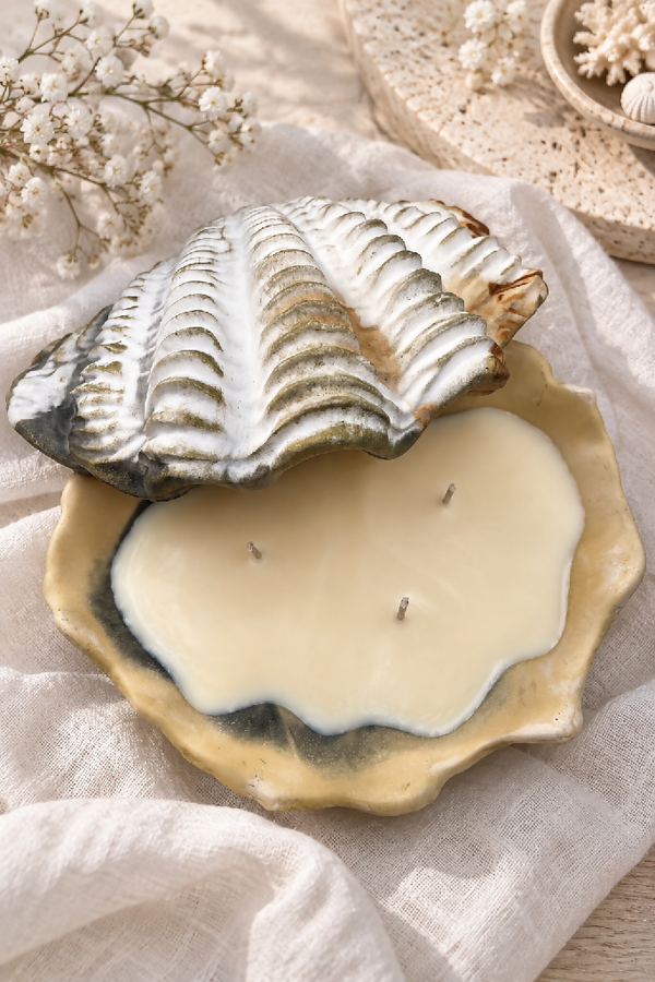 Custom Colour Handmade Giant Clam Shell Candle fragranced with Christmas Tree - Reusable