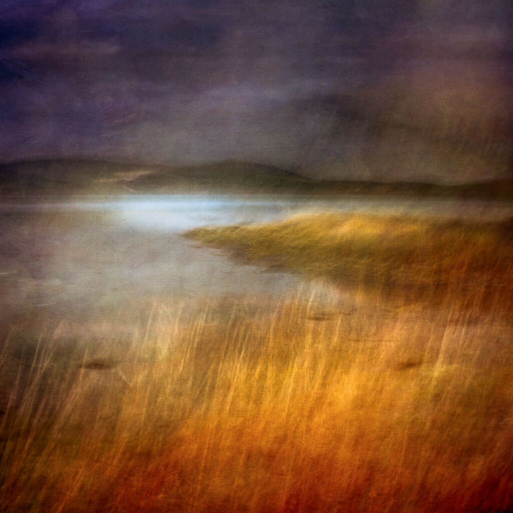 Fabric of the Landscape II 30 x 30