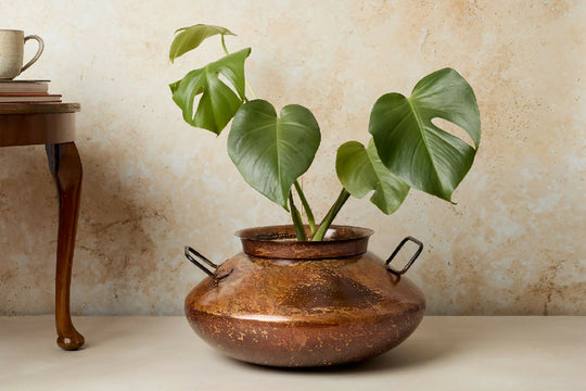 Rustic Finish Belly Planter Kalam