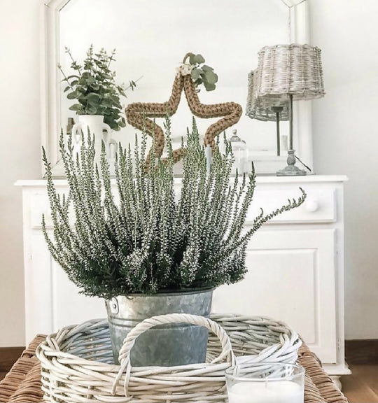 25cm Jute Spring Star Wreath