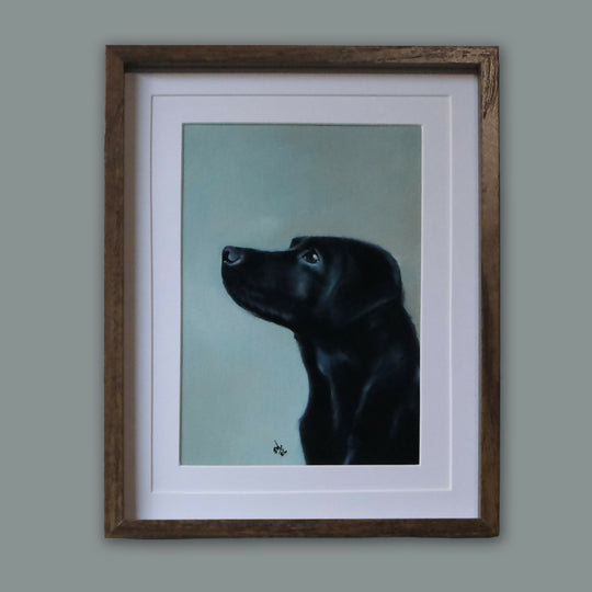 The Lovely Labrador - Framed Giclée Print