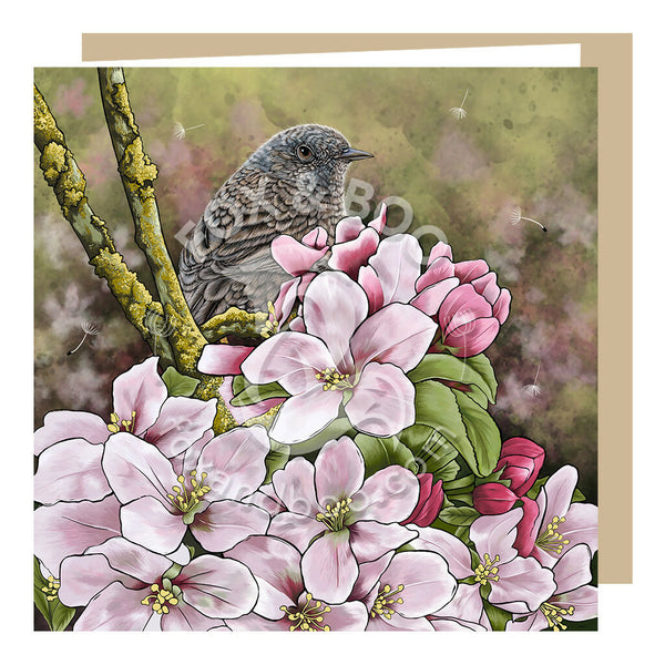 Pretty spring Dunnock greeting card by Fox & Boo