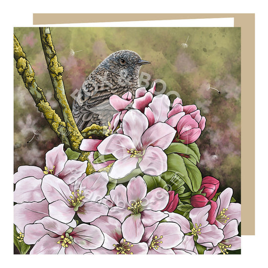 Spring Dunnock Greeting Card
