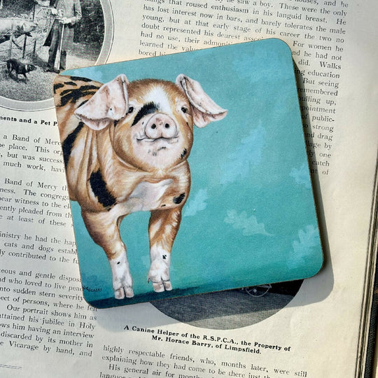 Diddy Piglet Coaster