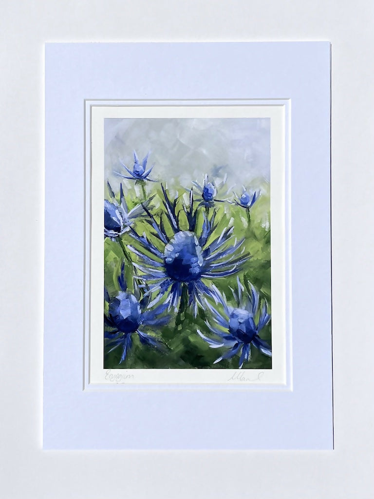 Eryngium Fine Art Print