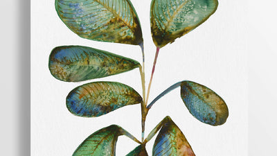Plant Ink & Watercolour Giclée Fine Art Print