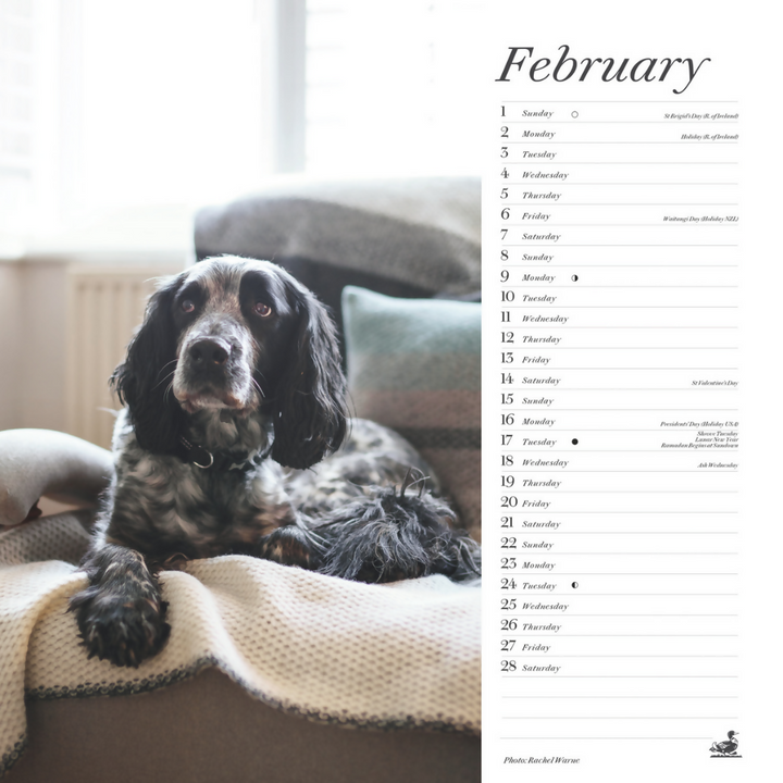 AP-1722 2026 Wire Bound Wall Calendar - View #7
