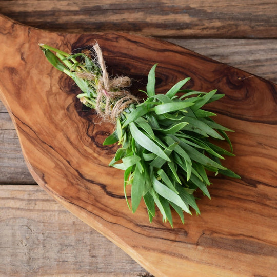 Tarragon Plants, Plug Plant Pack