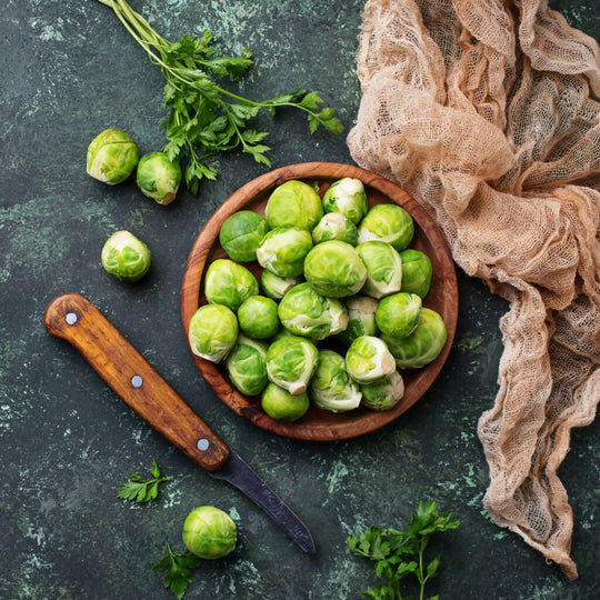 Brussels Sprout Plants, 'Brigitte', 12 x Full Plant Pack