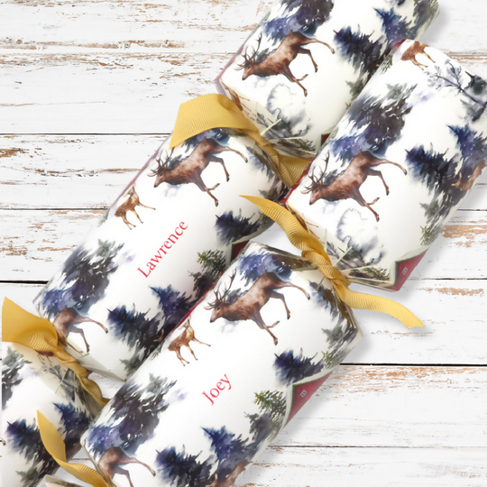 Personalised Cracker Making Craft Kit | Christmas in the Alps | Makes 4 or 6 Crackers