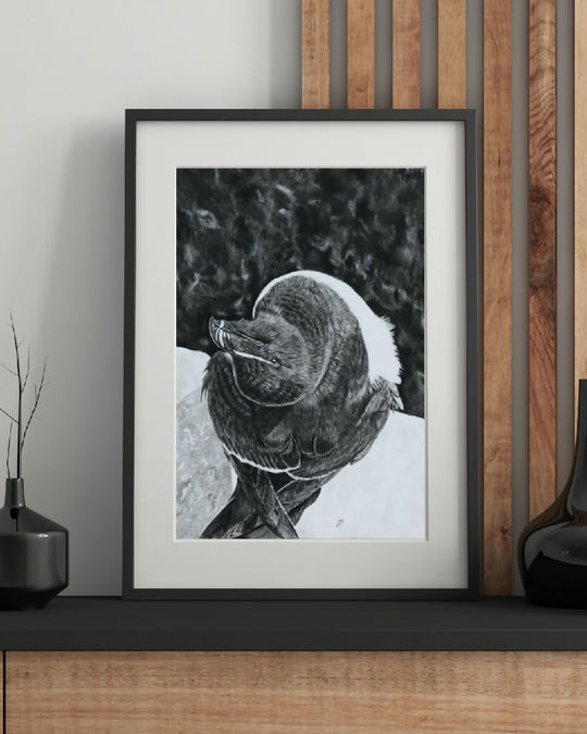 Your Other Favourite, Surely? Razorbill coastal art print mounted A4 size, black and white