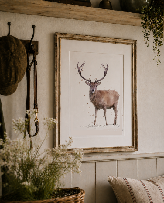 'Rupert' Watercolour Red Deer stag Print