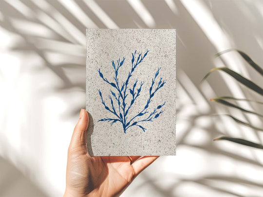 Egg Wrack | A5 | seaweed paper