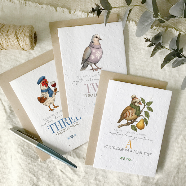 Fun 12 days of Christmas, multi pack of cards - plantable wildflower seed cards
