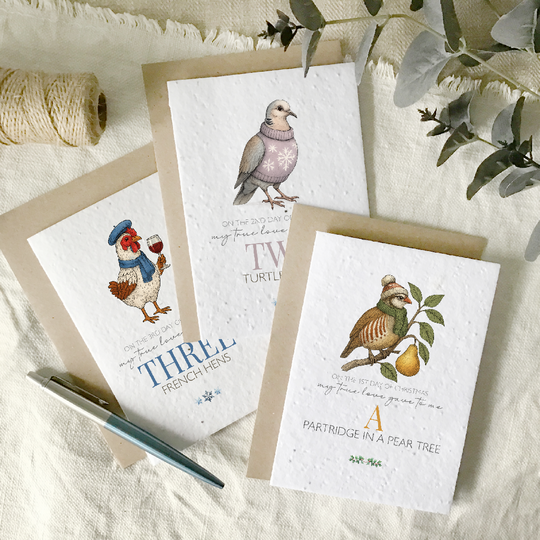 Fun 12 days of Christmas, multi pack of cards - plantable wildflower seed cards